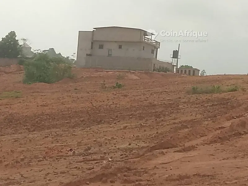 Terrain pour construction bail 20 ans — Yopougon Cité Mamie Adjoua