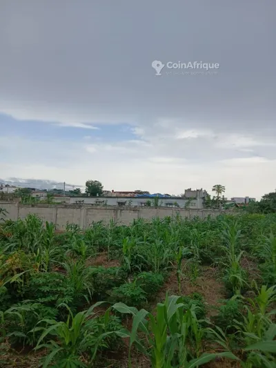 Terrain bâti de 500m² avec ACD à Songon