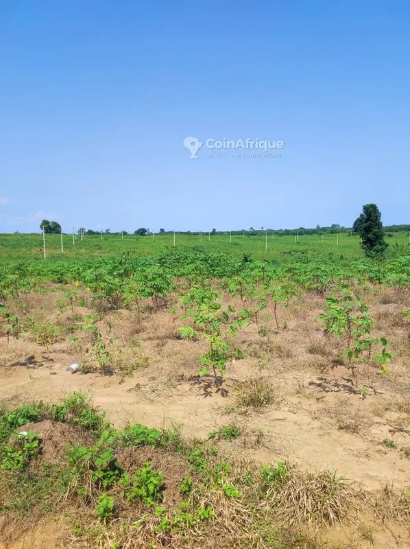 Terrain 400 m² — Songon M'Brathé
