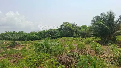 Terrain 800 m² — Songon