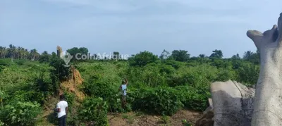 Terrains 1300m² - Yopougon songon