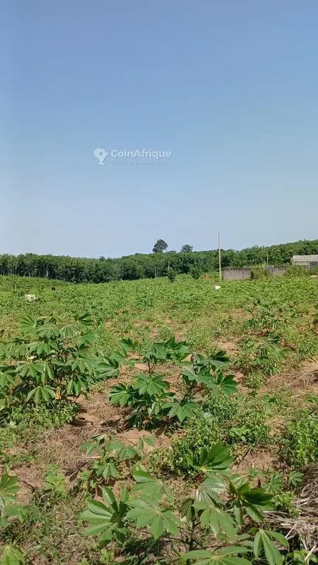 Terrain 400 m² bon relief — Songon M'braté Carrefour Yacé