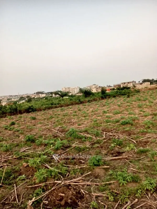 Terrain 400 m² — Bimbresso