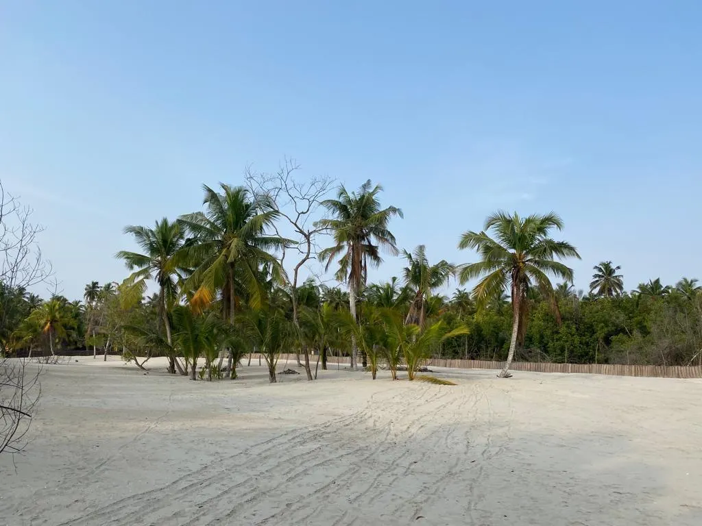 ASSINIE FRANCE : TERRAIN DE 600 M2 AVEC ACD À VENDRE