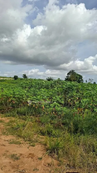 Terrain 13 lots jumelés 600 m² — Songon Agban Bitté