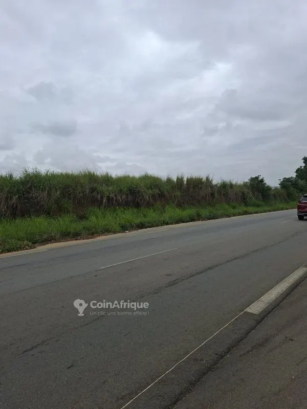Terrain 400 m² avec ACD global — Bingerville Élokaté