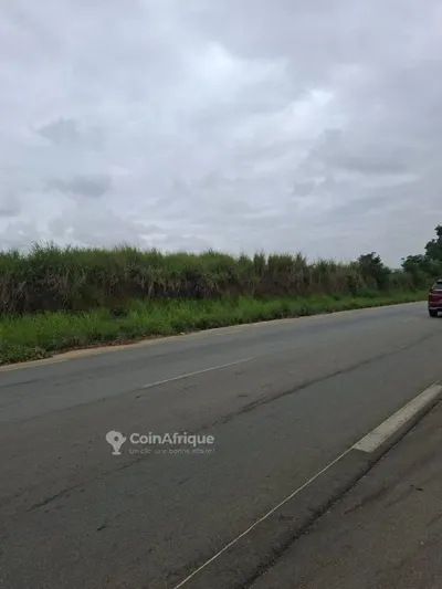 Terrain 400 m² avec ACD global — Bingerville Élokaté