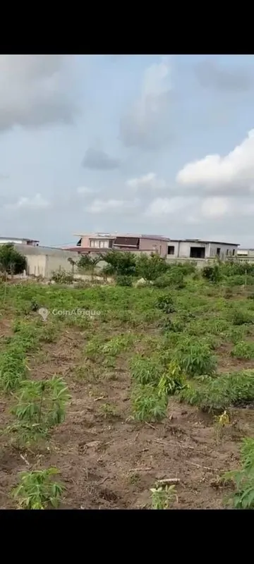 Terrain 1100 m² avec ACD — Bingerville-Anan