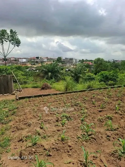 Terrain 10 lots de 600 m² — Songon