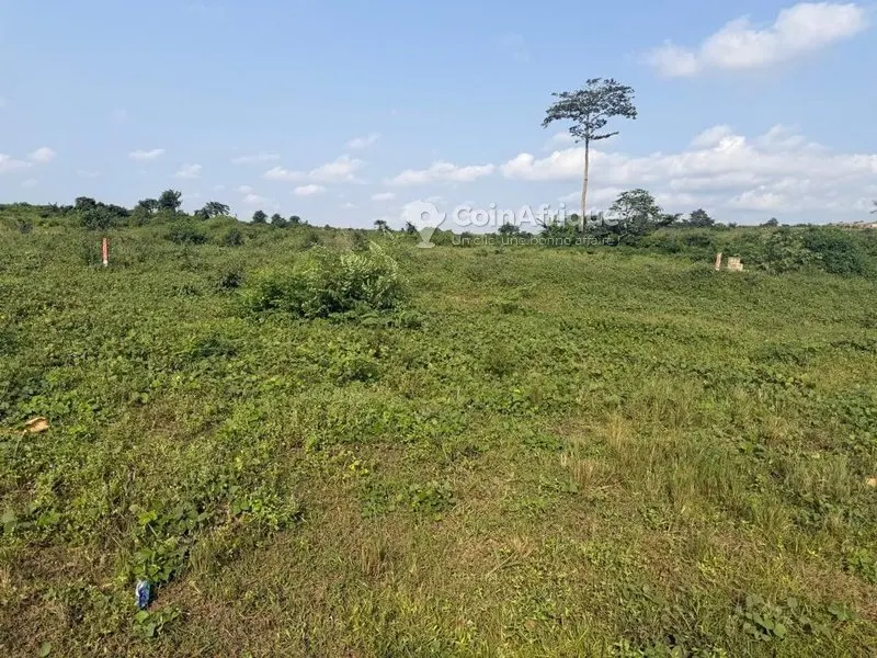 Terrain 439 m² — Yopougon